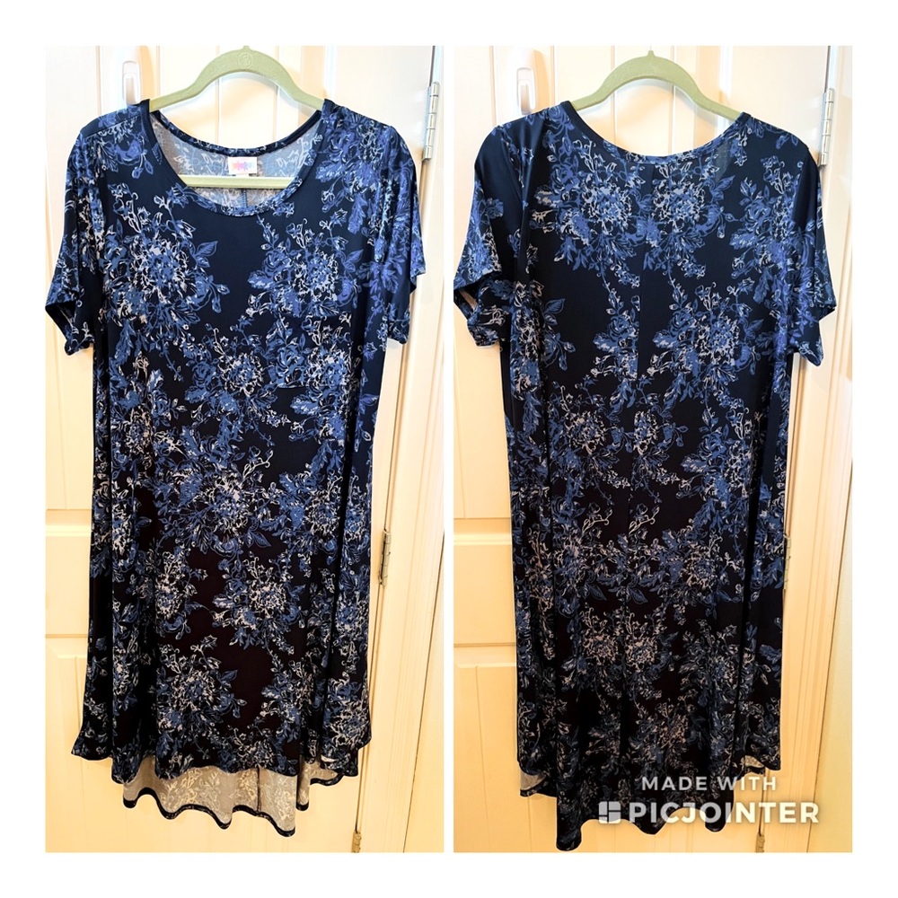LulaRoe  Carly dress  size large